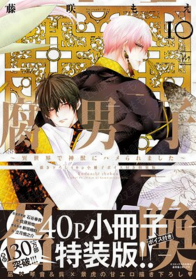 腐男子召喚~異世界で神獣にハメられました~ 10/藤咲もえ