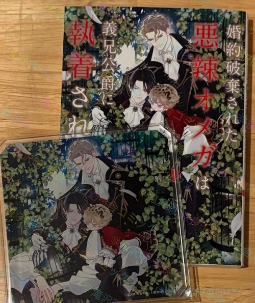 婚約破棄された悪辣オメガは義兄公爵に執着される/滝沢晴・奈良千春