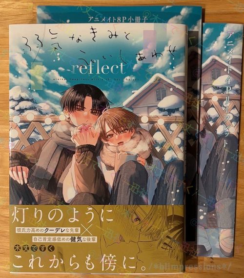 弱気なきみと永いしあわせ reflect/木丈ですく